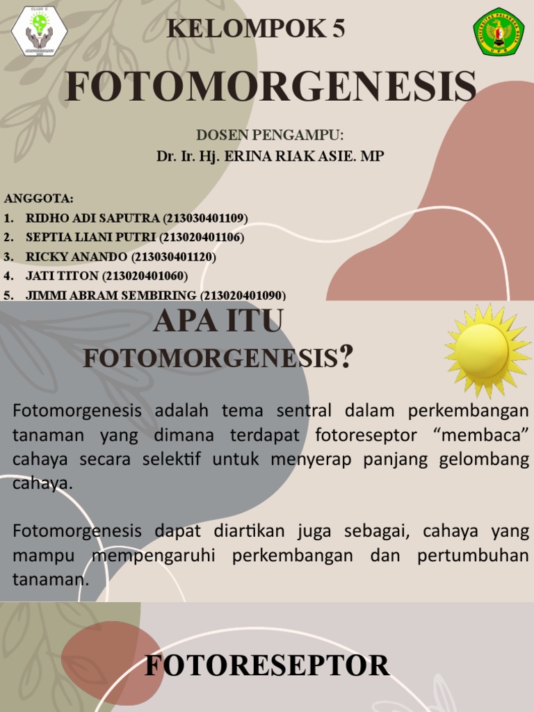 Kel 5 | PDF