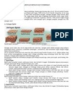 Tugas - Biologi - Jaringan Hewan Dan Tumbuhan