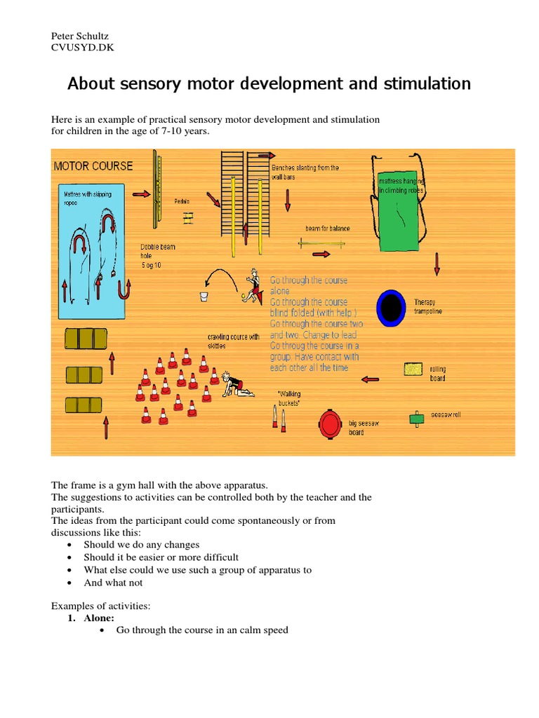 About Sensory Motor Development and Stimulation PDF Cognitive