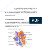 Infas Ci Cardio Vasculary Syst 2022