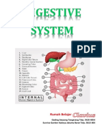 Digestive System, Booklet