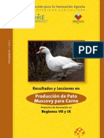 Libro Pato Muscovy