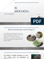 Hongos Microbiologia