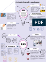 El Procedimiento Administrativo Sancionador