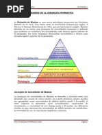 Download ACTIVIDAD 3 PIRAMIDE JERARQUICA by Ron Kalimba SN60282866 doc pdf