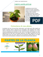 Las Plantas