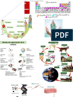 SA 1 Niveles de Organización Componentes Químicos de La Materia Viva Agua PH