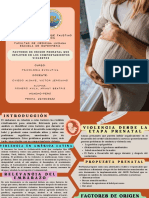 Factores de Origen Prenatal Que Influyen en Los Comportamientos Violentos
