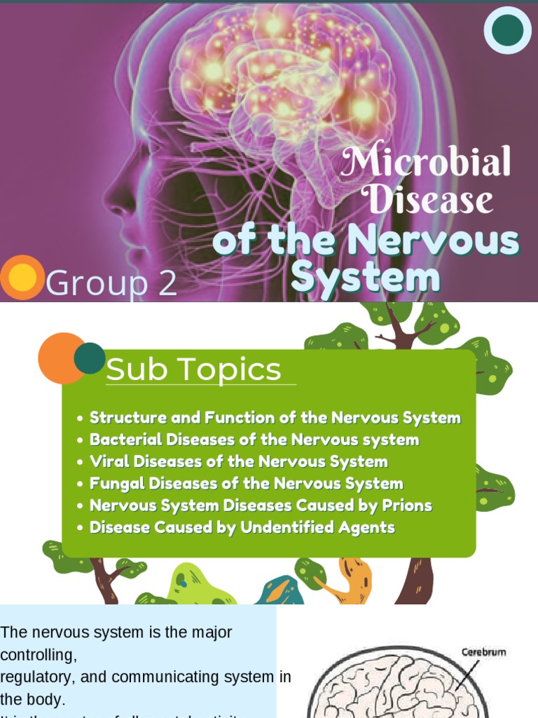 Microbial Disease of The Nervous System | PDF | Central Nervous System ...
