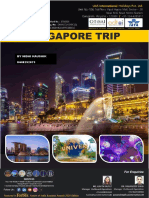 SINGAPORE TOUR 4D