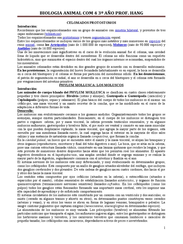Características de los Moluscos | PDF | Bivalvia | Pulpo
