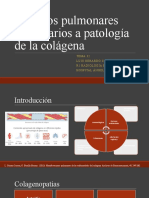 Cambios Pulmonares Secundarios A Patología de La Colágena