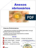 Anexos Embrionários