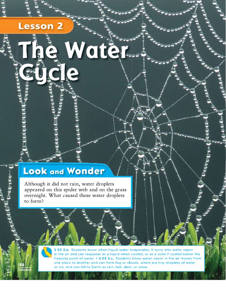 The Water Cycle | PDF