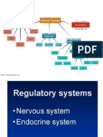 Nervous System-2022-23 Asi̇st