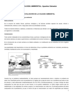 Apuntes Salvador PDF