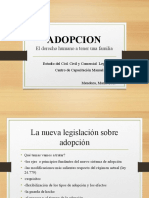 3 B Adopcion CANO DIAZ 2015 Final