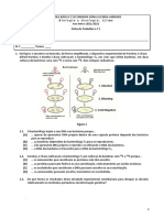 Ficha de Trabalho 11.º Ano