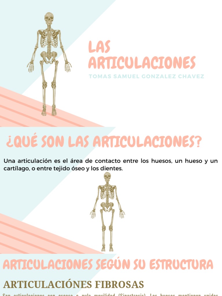 Articulaciones PDF Articulación Anatomía