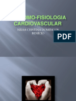 Aula de Anatomia e Fisiologia Do Sistema Cardiovascular