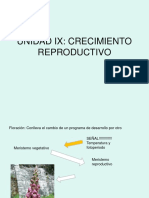8 - Unidad IX - Crecimiento Reproductivo