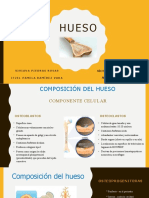 Presentación Histología