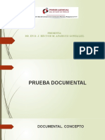 Prueba Documental