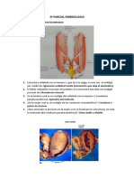 3âº Parcial Embriologia