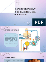 Sistemas de Nutrición 2015