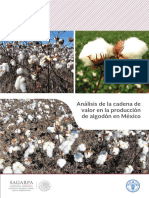 4 Analisis de La Cadena de Valor en La Produccion de Algodon en Mexico