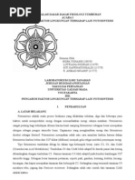 Download FOTOSINTESIS by rena_ummah SN60290510 doc pdf