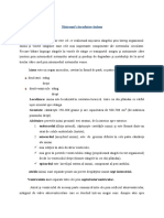 Eseu-Sistemul circulator-Inima