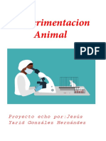 La Experimentacion Animal