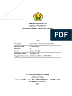 Laporan Praktikum Spektrum Gelombang