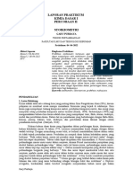 R1D121041-Gary Purbaya-Laporan Praktikum Kimia Dasar I-Stokiometri - 091241