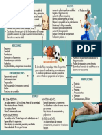 Masaje Deportivo Esquema