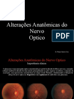 Alterações Anatômicas Do Nervo Óptico