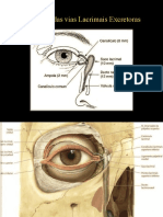 Anatomia, Fisiologia e Propedêutica das Vias Lacrimais
