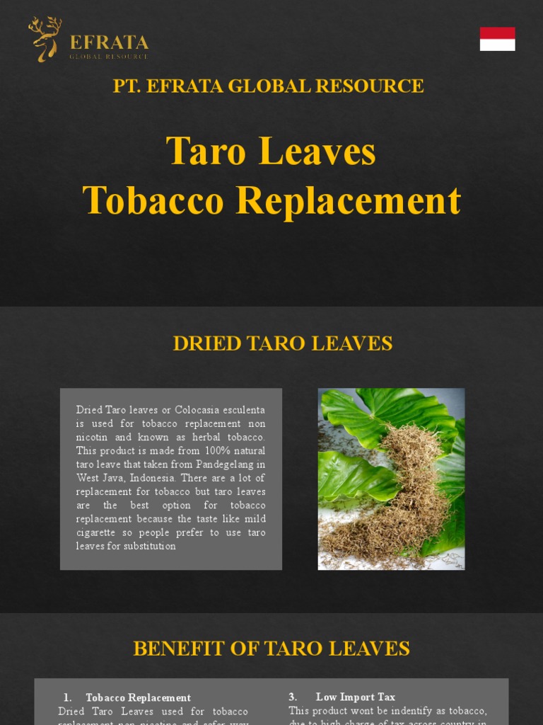 Taro Leaves: Herbal Tobacco Alternative | PDF | Tobacco