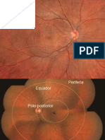 Anatomo-pat retina