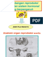 Perkembangan Organ Reprodusi Wanita & Hormon Yang Berpengaruh