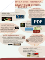 infografica de parasitologia