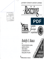 Resizing - Rodolfo E. Biasca