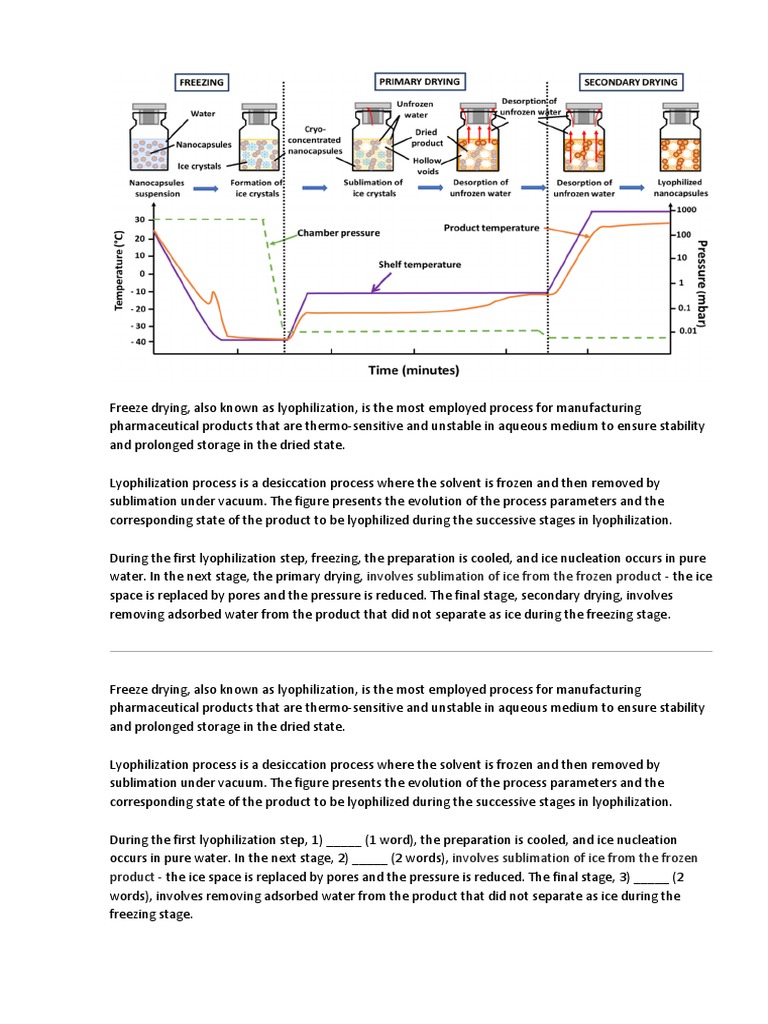 Lyophilization Process Pdf