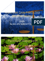 Anatomi Dan Fisiologi Sistem Persyarafan