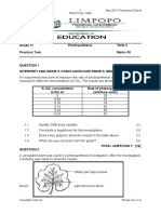 Grade 11 Life Sciences Exam Paper | PDF | Cellular Respiration ...