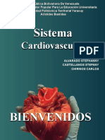 Cardiovascular (Recuperado)