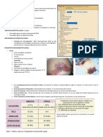 Pancreatitis aguda: causas, tipos y tratamiento