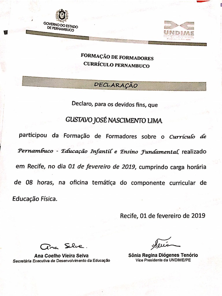 Declaração 03 | PDF