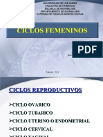 Ciclos Femeninos